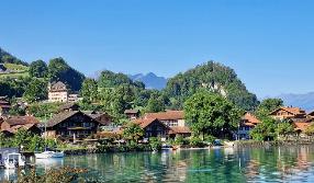 Hình ảnh từ bài viết