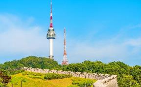 Hình ảnh từ bài viết