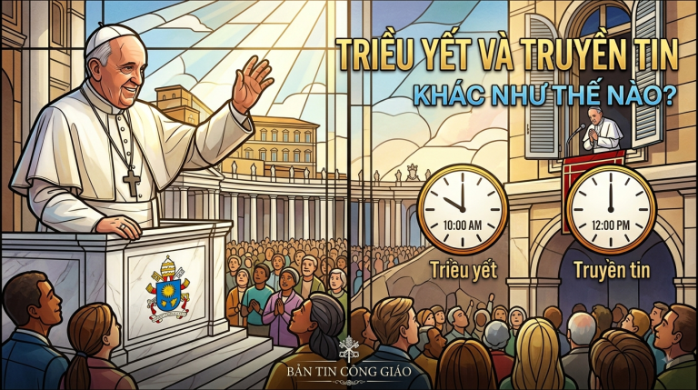 Triều yết và Truyền tin tại Vatican: 5 Điểm Khác Biệt Cần Biết 2026