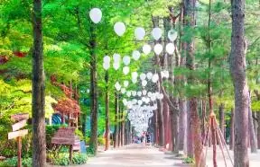 Hình ảnh từ bài viết