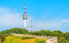 Hình ảnh từ bài viết