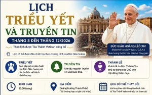Lịch Triều yết và Truyền tin tại Vatican từ tháng 8 đến tháng 12/2026