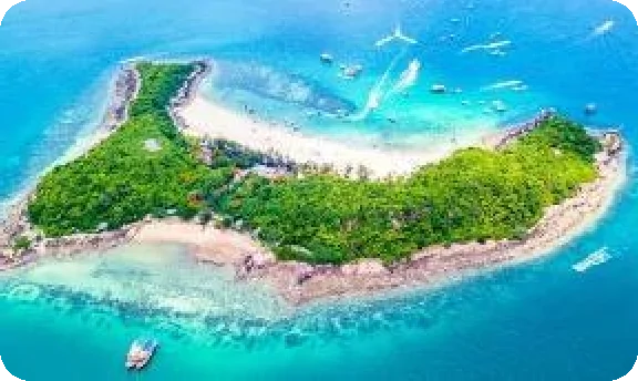 Hình ảnh từ bài viết