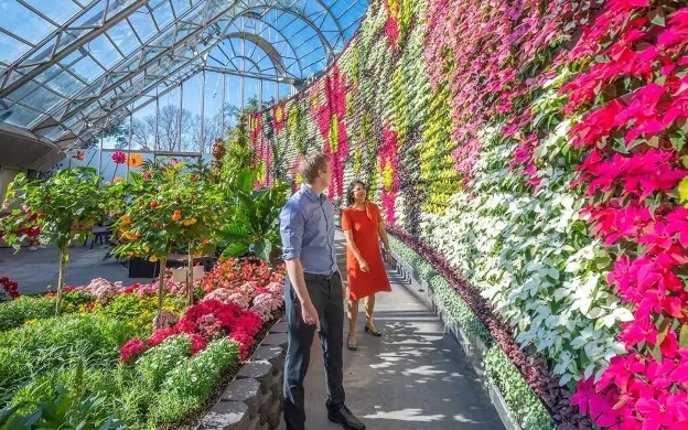 A person and person standing in a garden Description automatically generated