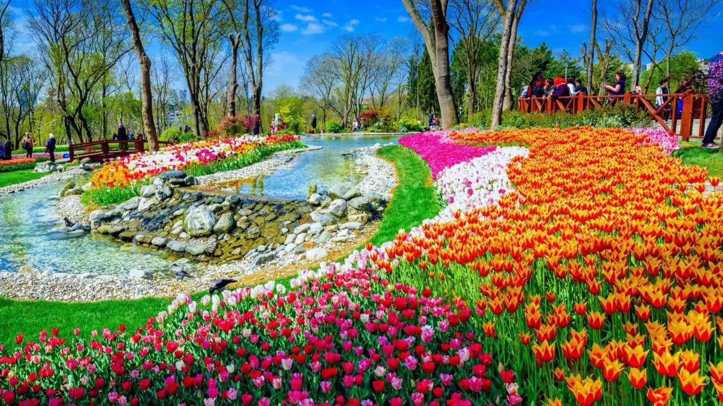 https://bookingtour.com.vn/Uploads/files/Emirgan_Park_01.jpg