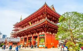 Hình ảnh từ bài viết