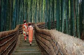 Hình ảnh từ bài viết
