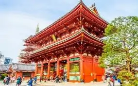 Hình ảnh từ bài viết