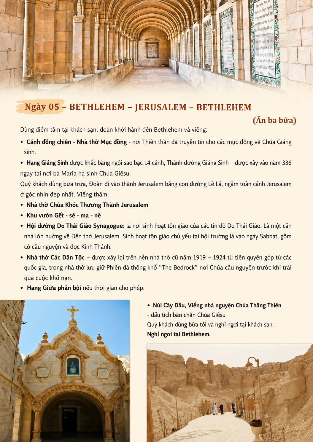 Hình ảnh từ bài viết
